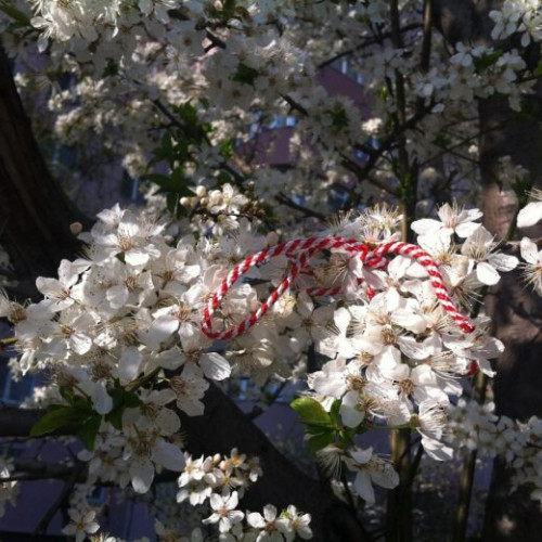 Târgul Mărțișorului se desfășoară între 26 februarie și 2 martie