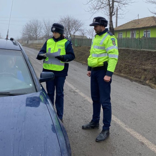 Tânăr din Suceava sancționat pentru transport ilegal de material lemnos