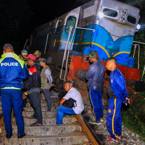 Accident feroviar în Sri Lanka: șase elefanți morți după o coliziune cu un tren