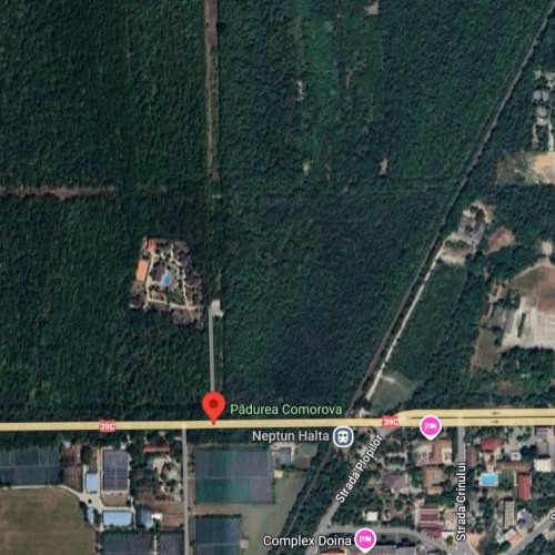 Hotărârea Curții de Apel Constanța confirmă drepturile asupra Pădurii Comorova