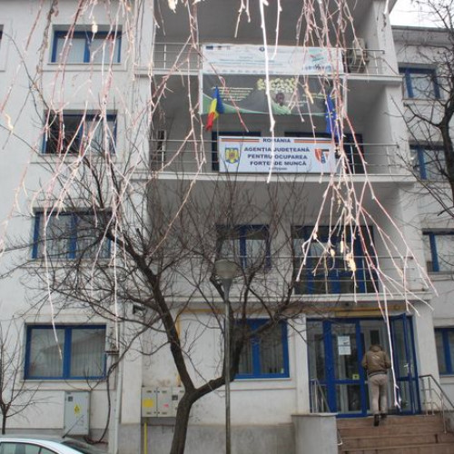 Rata somajului în județul Botoșani a crescut la începutul anului 2025