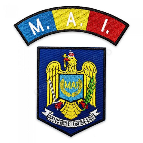 Guvernul aprobă ordin pentru plată suplimentară a personalului MAI