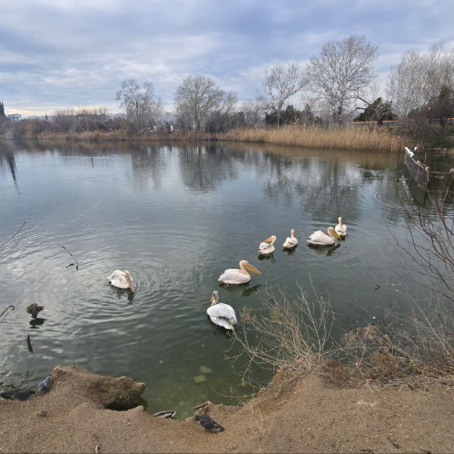 Schimbări importante la Microdelta din cadrul CMSN