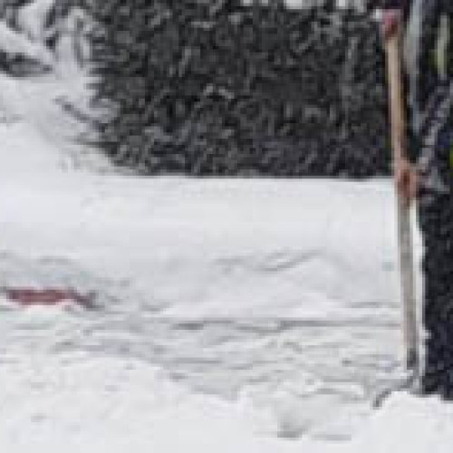 Luiza Rădulescu Pintilie, nouă figură proeminentă în domeniul cultural