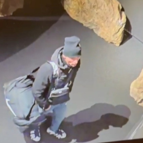 Furtul tezaurului dacic: O nouă arestare în cazul de la Muzeul Drents