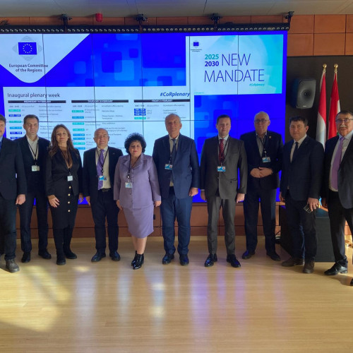 Mariana Gaju, noul președinte al Delegatiei României la Comitetul European al Regiunilor