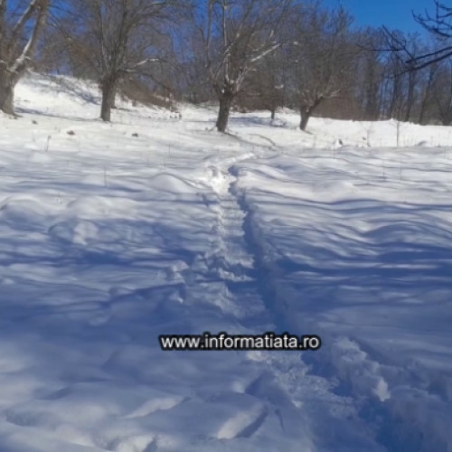 Bărbat găsit mort într-un șanț