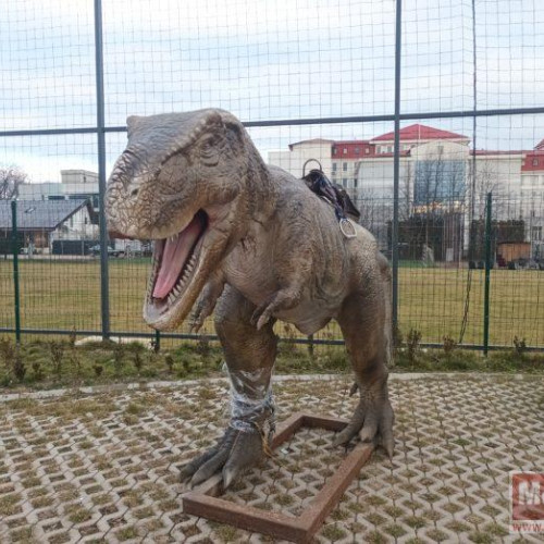 Botoșănenii descoperă lumea preistorică în "Dino Park Botoșani"