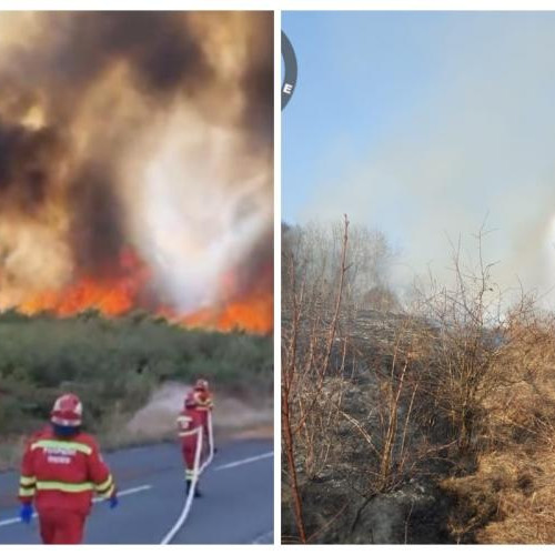 Incendii de vegetație în Cluj, pe 22 februarie