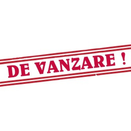 Mașinile unei firme din Botoșani, scoase la licitație după faliment