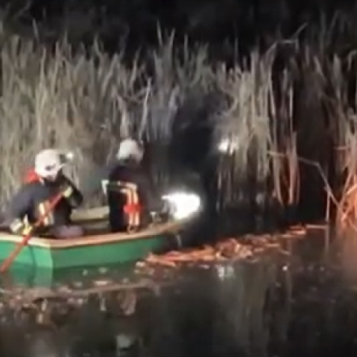 Câinele găsit fără viață în apă la Gherla