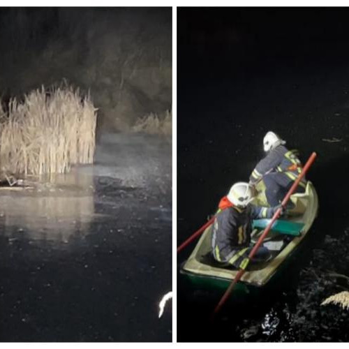 Tragedie pe Someș: O cățelușă decedată după ce a căzut în apă