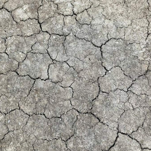 2025, sfârșitul unui ciclu de secetă în România