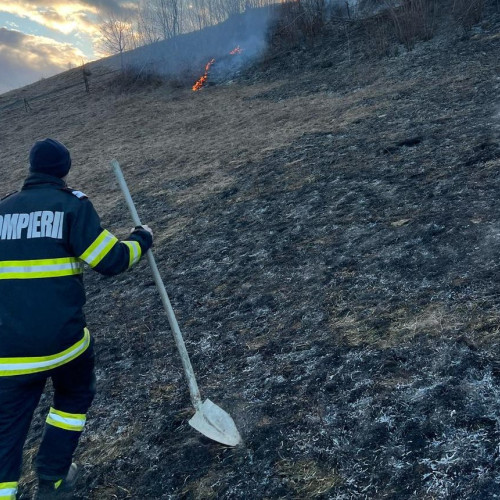 Incendiu în satul Certege, stins de pompieri