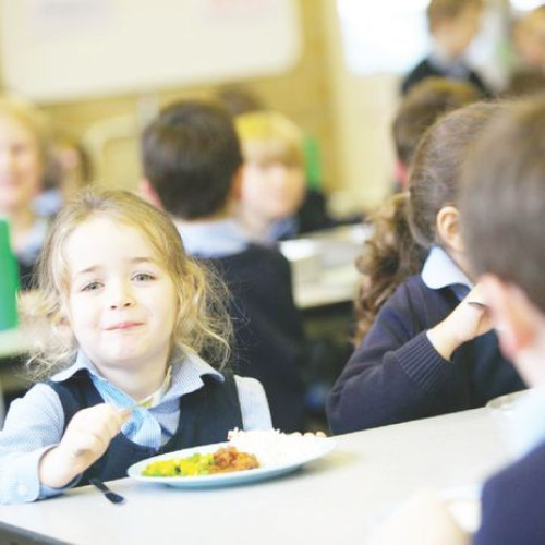 Programul „Masa Sănătoasă” se extinde în județul Botoșani