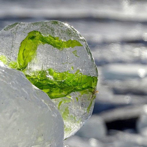 Cod galben de ger pentru București și alte 11 județe