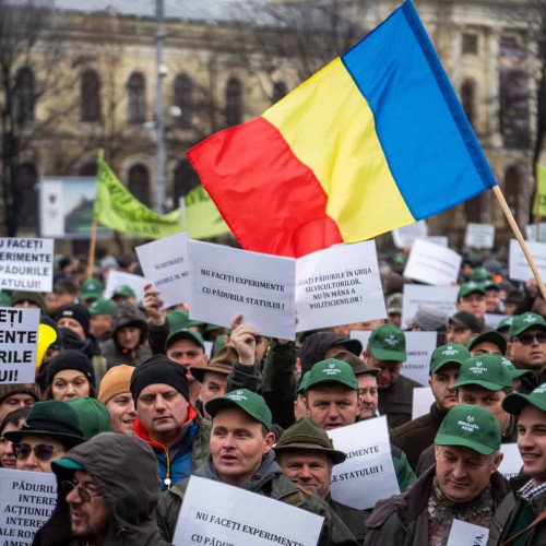 Silvicultorii protestează la Ministerul Mediului împotriva reducerii salariilor