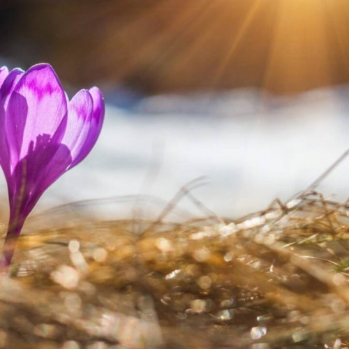Vreme mai caldă în Dâmbovița