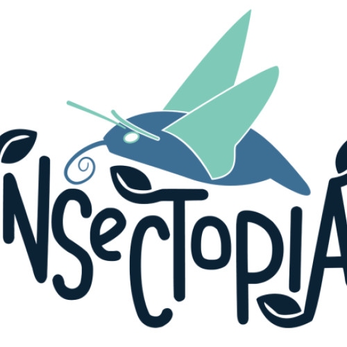 Proiectul Insectopia pentru îmbunătățirea biodiversității în campusurile universitare