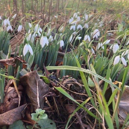 Vremea în luna martie: Prognoza meteo