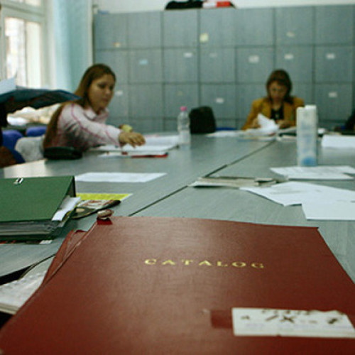 Inspectoratul Școlar Județean Botoșani anunță posturi vacante pentru anul școlar 2025-2026