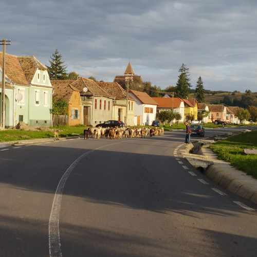 Consiliul Județean Sibiu alocă 43,654 milioane de lei primăriilor din județ pentru 2025