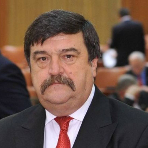 Revocarea lui Toni Grebla din fruntea AEP în atenția Comisiilor juridice