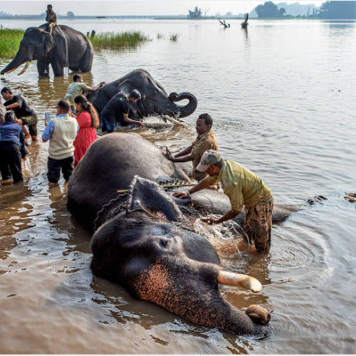 Vernisaj de artă fotografică la Oradea