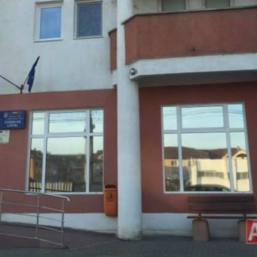 Teius, colectare gratuită a crengilor și vegetației lemnoase începând cu 4 martie 2025