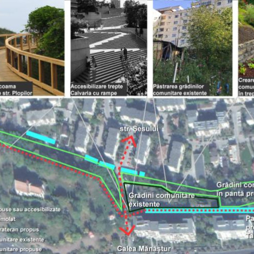 Clujenii ar putea planta legume și pomi fructiferi pe domeniul public