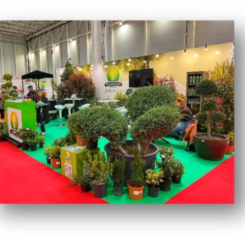 ROMEXPO organizează evenimentul #TotulPentruCasaTa2025