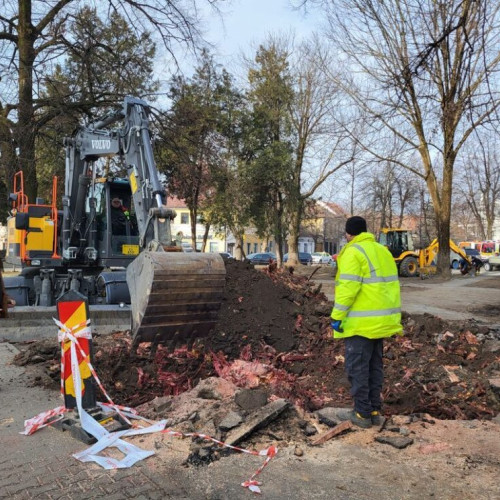 Renovarea zonei verzi din Piața Unirii