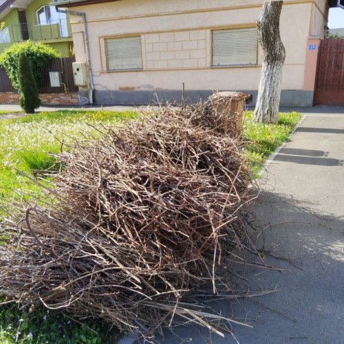 Primăria Arad lansează campania de curățenie de primăvară