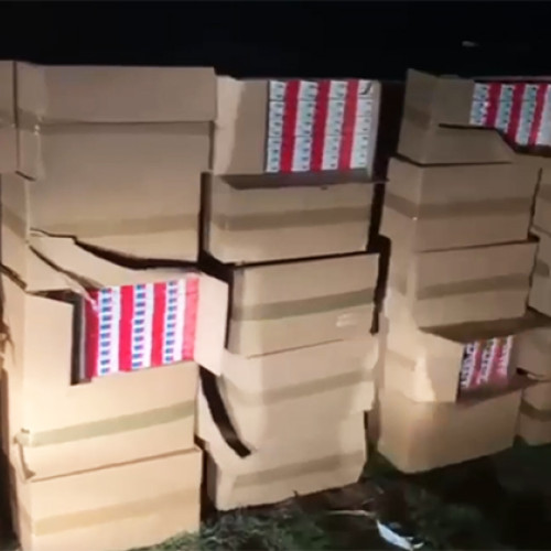 Două persoane arestate pentru trafic de droguri în Arad