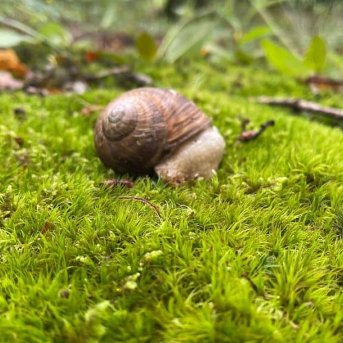 Armele secrete împotriva stresului: Tehnici dovedite științific