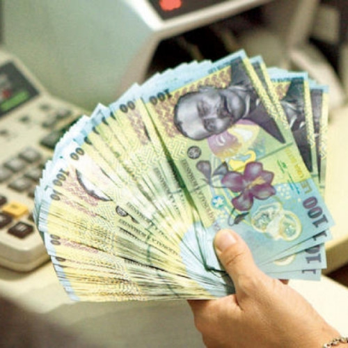 Deficit bugetar în ianuarie 2025