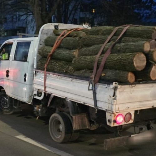 Acțiune a poliției pentru protejarea fondului forestier în Vrancea