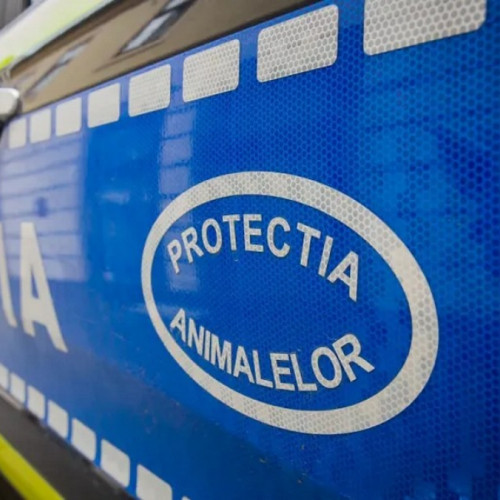 Poliția Animalelor investighează moartea suspectă a unui câine în comuna Umbraresti