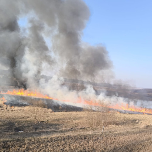 Doi bărbați amendați pentru incendierea vegetației în comuna Suharău