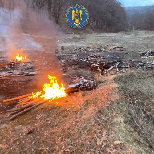 Acțiune de prevenire a infracțiunilor antisociale la Sebeș