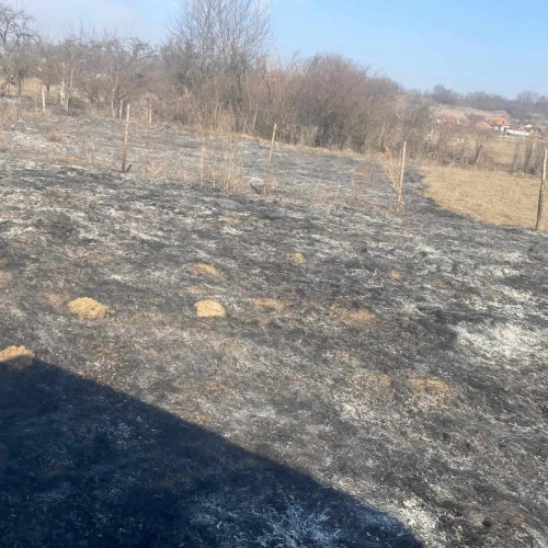 Un bărbat din Teiuș, amendat pentru incendierea mai multor hectare de teren
