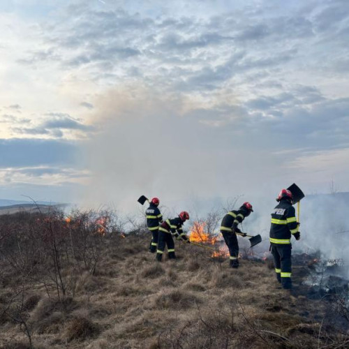 Incendii de vegetație în zona Cluj-Napoca