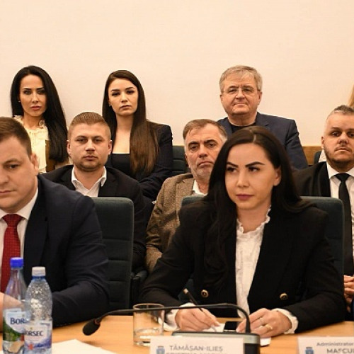 Cristina Tamasan-Ilies devine viceprimar al municipiului Satu Mare