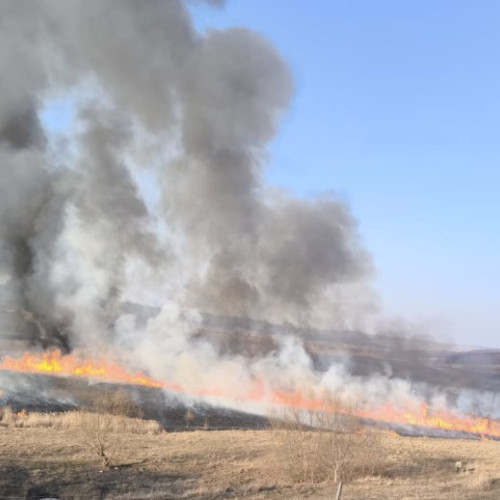 Doi bărbați amendați pentru incendierea vegetației în comuna Suharau
