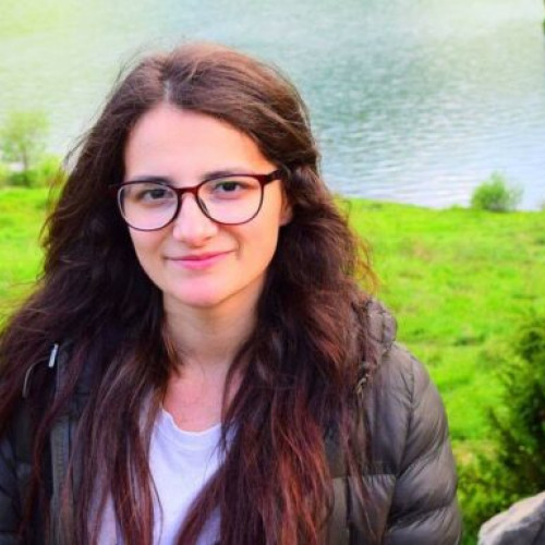 Guvernul Ciolacu îl înlocuiește pe subprefectul județului Bacău