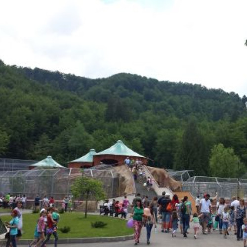 Grădina Zoologică din Brașov își redeschide porțile pe 1 Martie