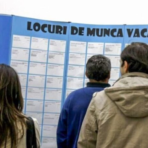 212 locuri de muncă disponibile în Vrancea la sfârșitul lunii februarie