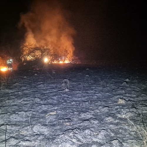 Intervenții ale pompierilor pentru stingerea incendiilor de vegetație în Satu Mare