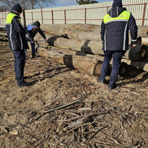 Anchetă penală în cazul unei societăți comerciale din Novaci pentru modificări ilegale de date