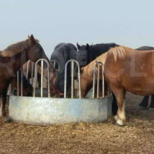 Jaful de la ferma din Iclod, prejudiciu de 90.000 de euro